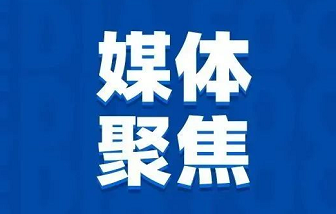 媒體聚焦 | “地瓜經(jīng)濟(jì)”為什么能贏？海亮股份是這樣做的